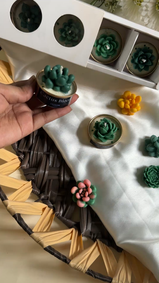 Cactus Bloom - Set of 4 Luxury Tealights Gift Set